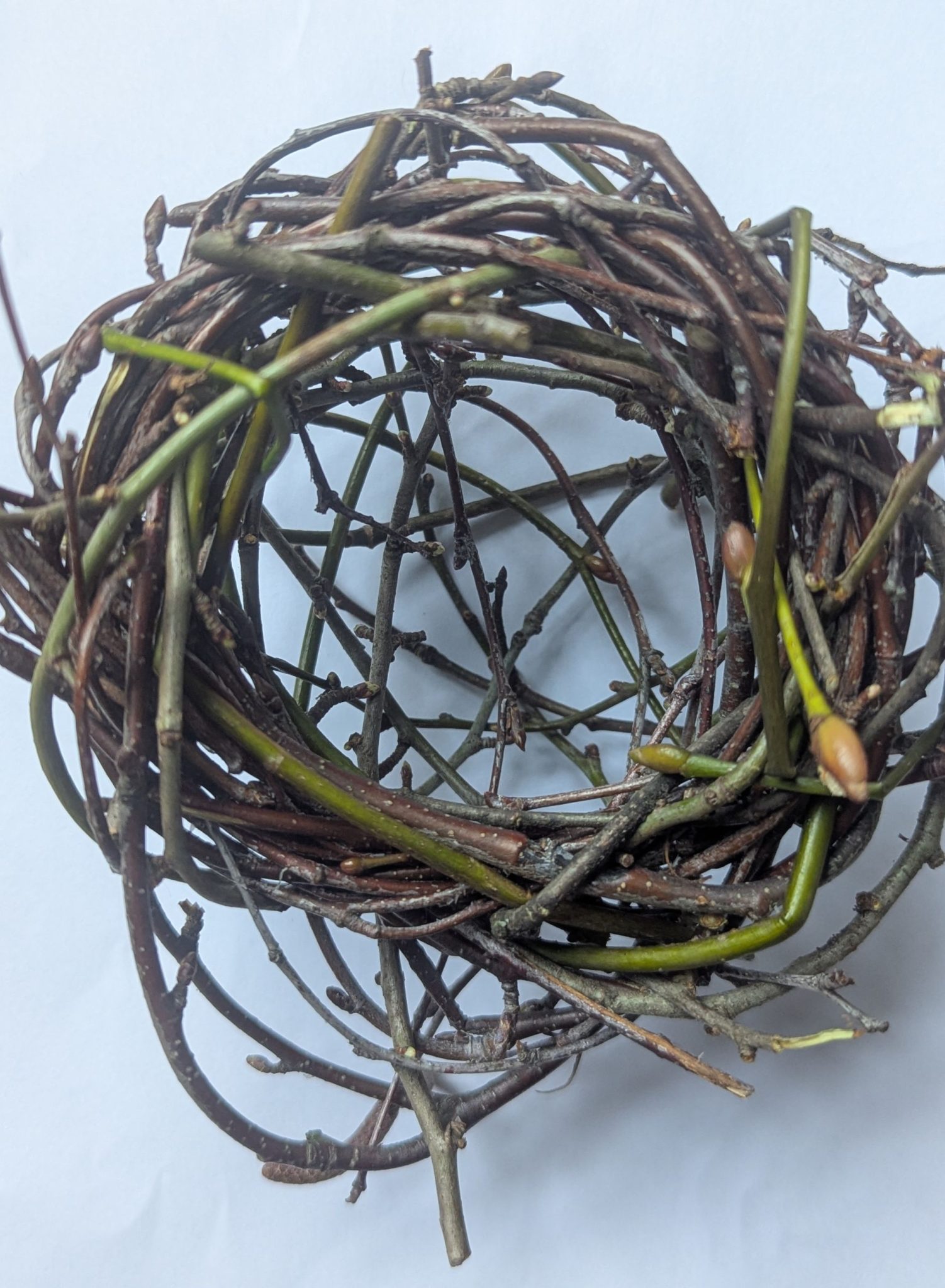 lime/silver birch/hawthorn