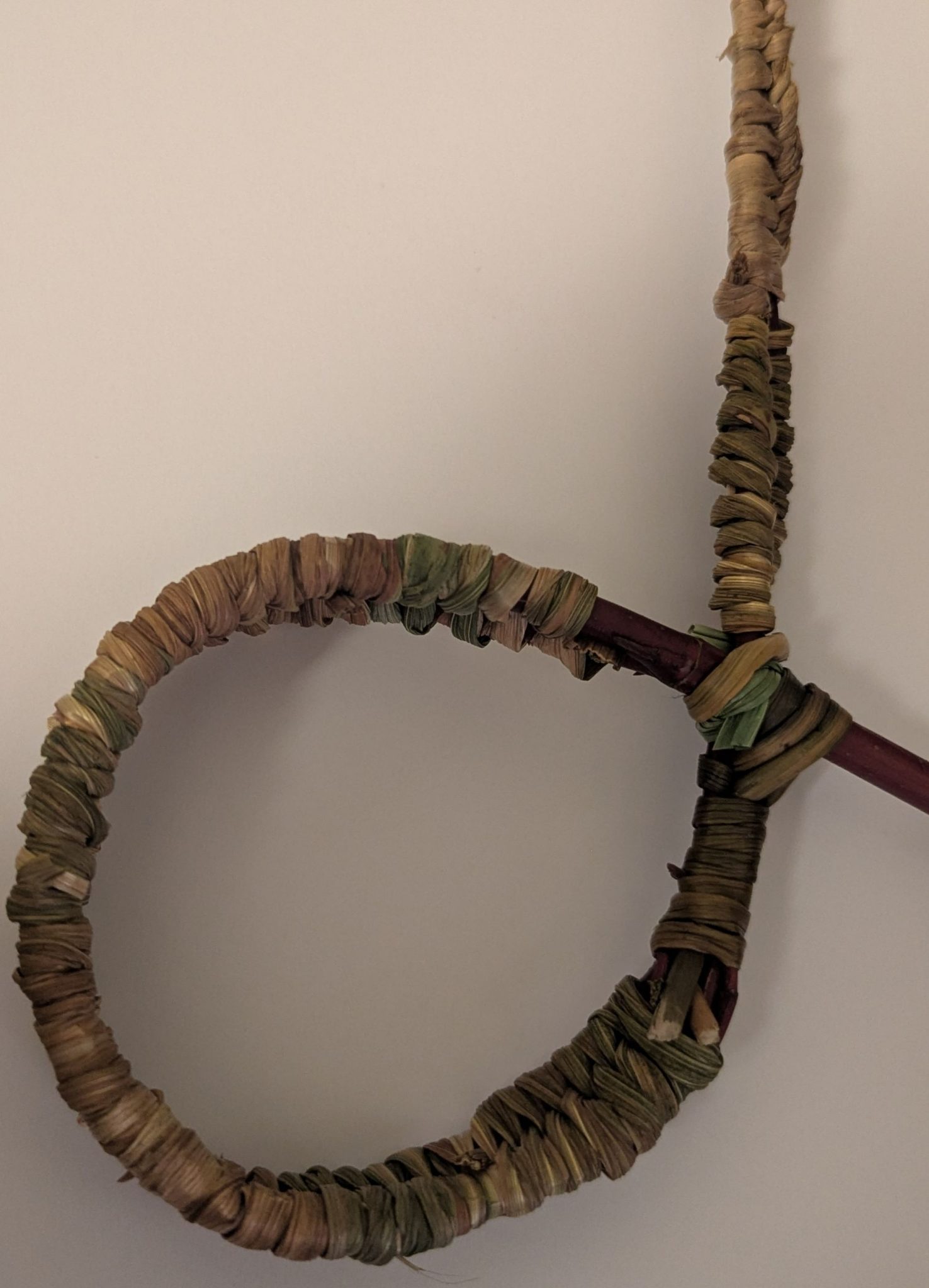 dogwood ,crocosmia leaf