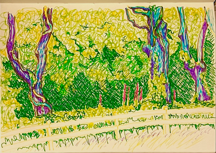 Coloured pen drawing of forest edge
