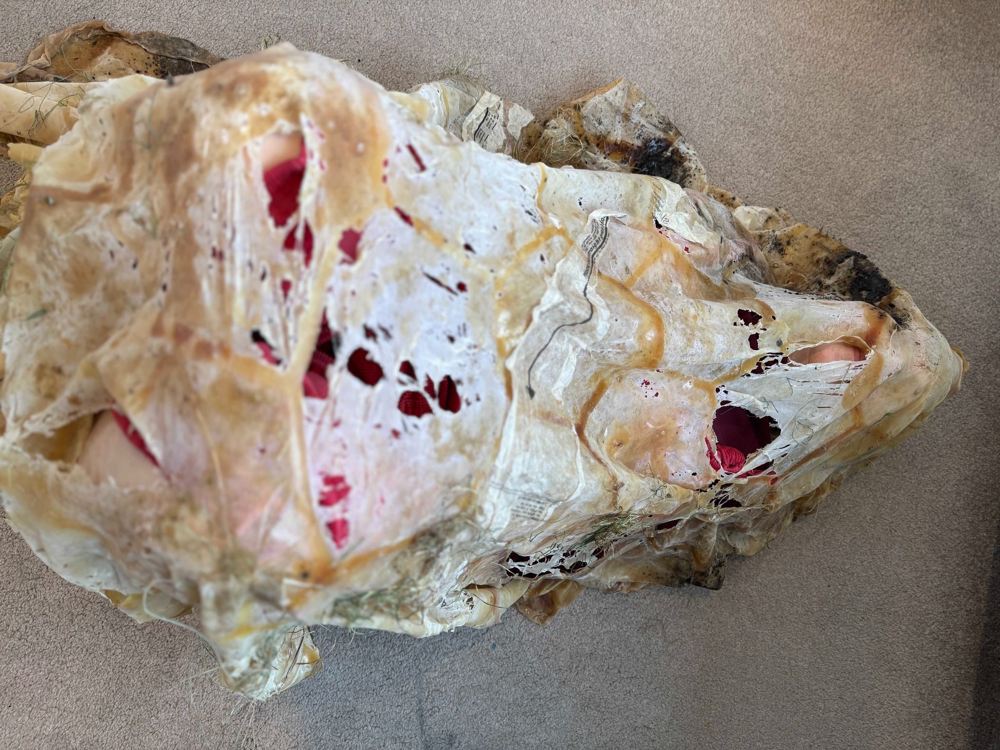 Performance with latex, grass, sewing patterns and mud