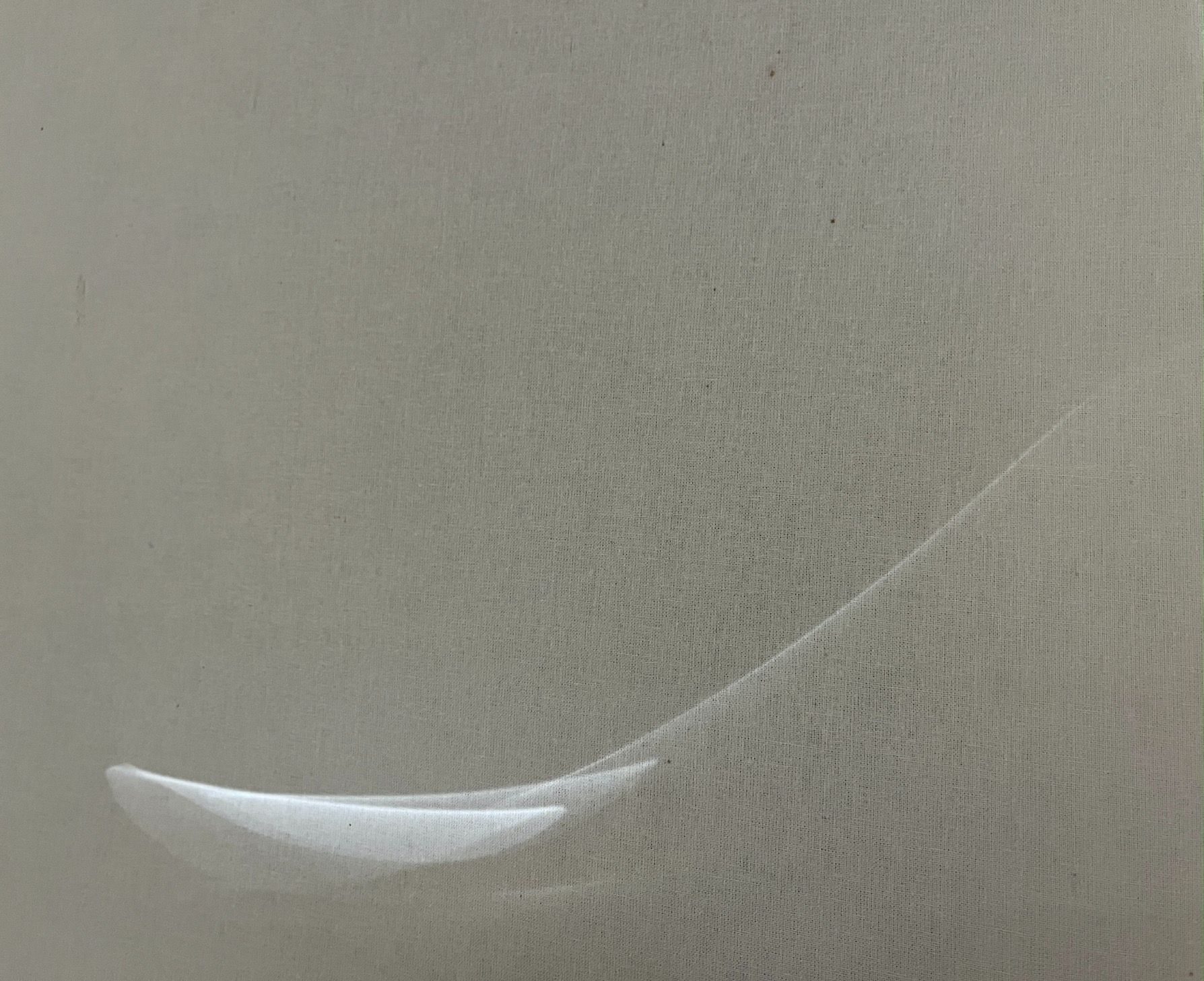 Hovering - the seeds appear to float from the unknown into the unknown