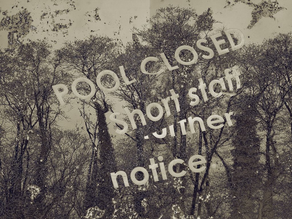 mud textures on paper digitally superimposed on trees with writing lifted from a fallen sign saying 