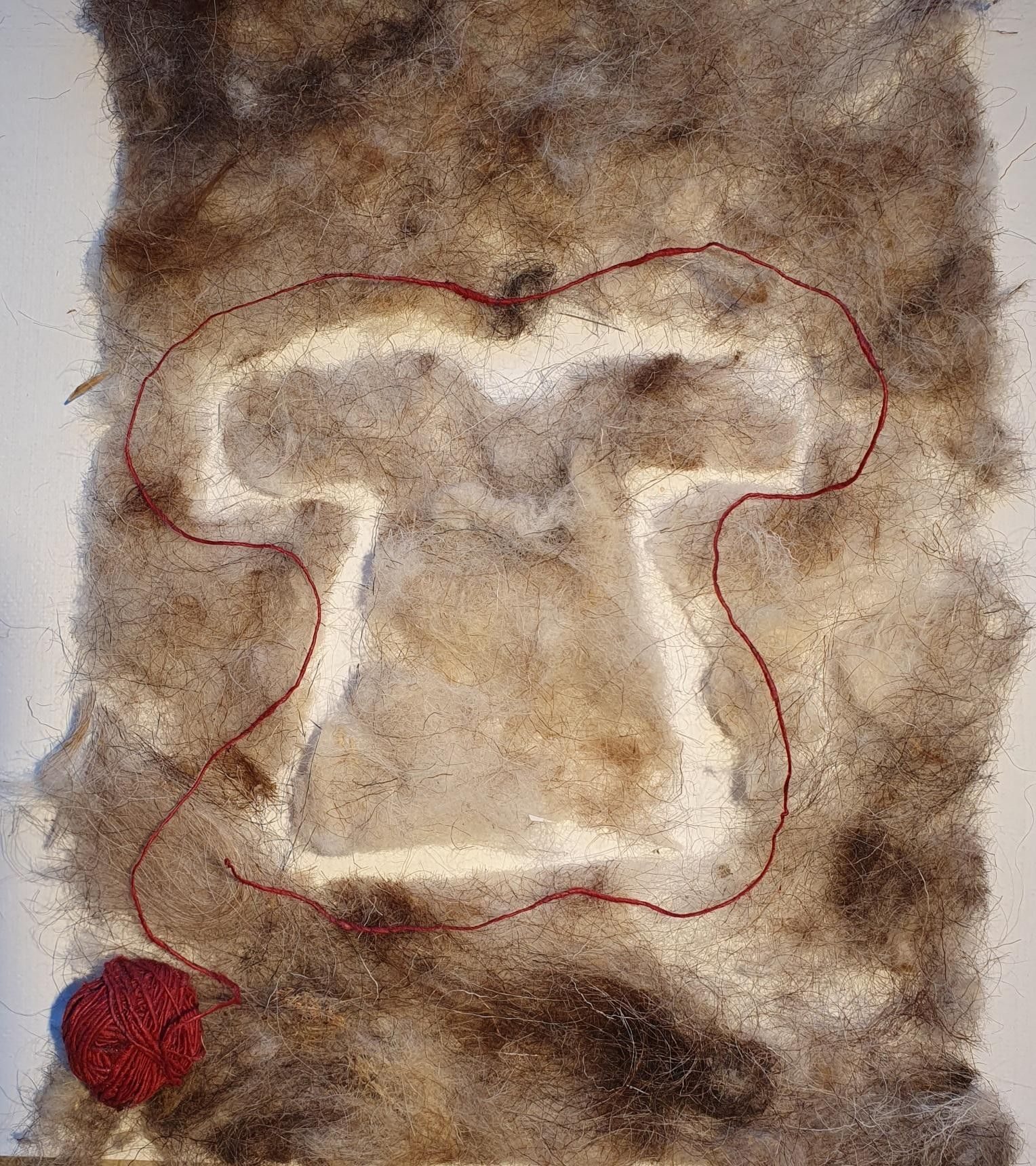 Sheep wool in layers and cut out. Red linen thread