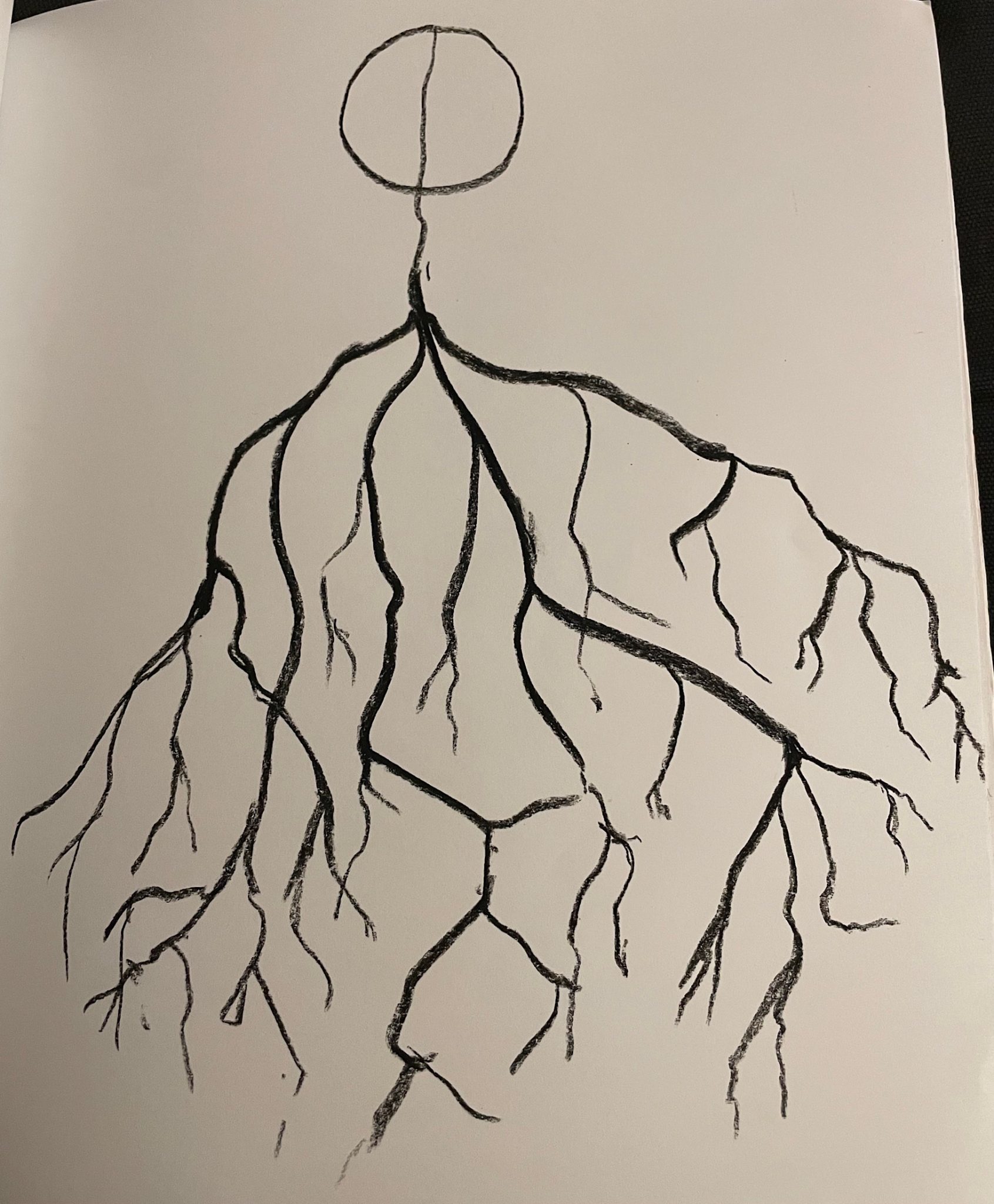 An abstraction of a root system with a circle at its top, drawing in charcoal