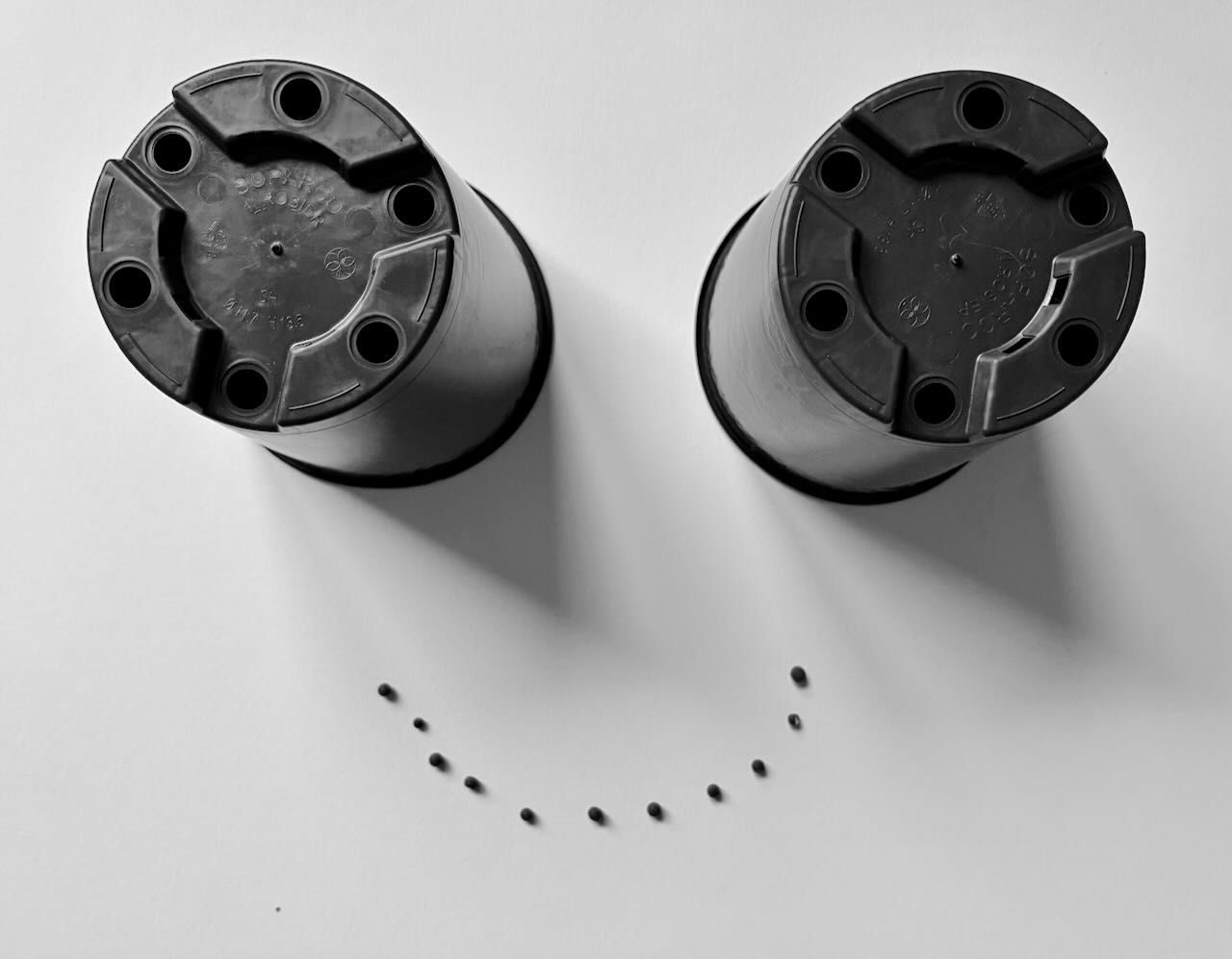 photo of two plant pots with a row of seeds in the shape of a smile underneath, looking quite like a face