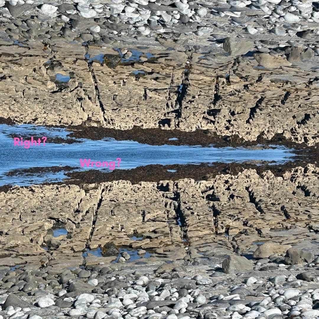 image of 2 identical seashore scenes, whichi sis