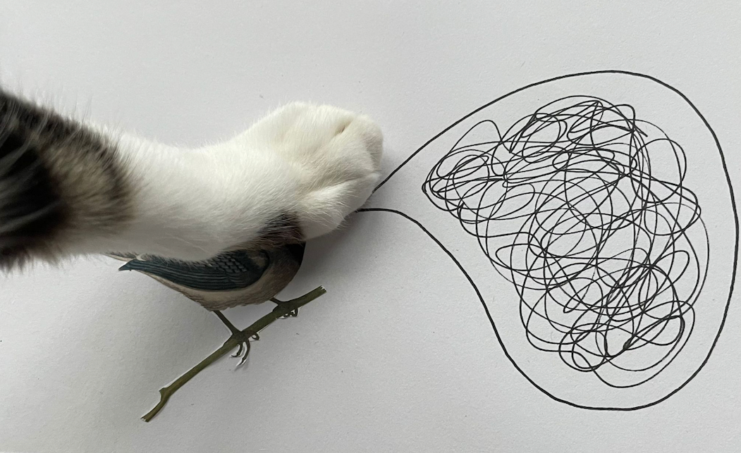 Landscape - a cut out picture of a bird with a head concealed by a real white and baby cat paw. To the right of the bird is a drawn black speech bubble with a black squiggle inside.