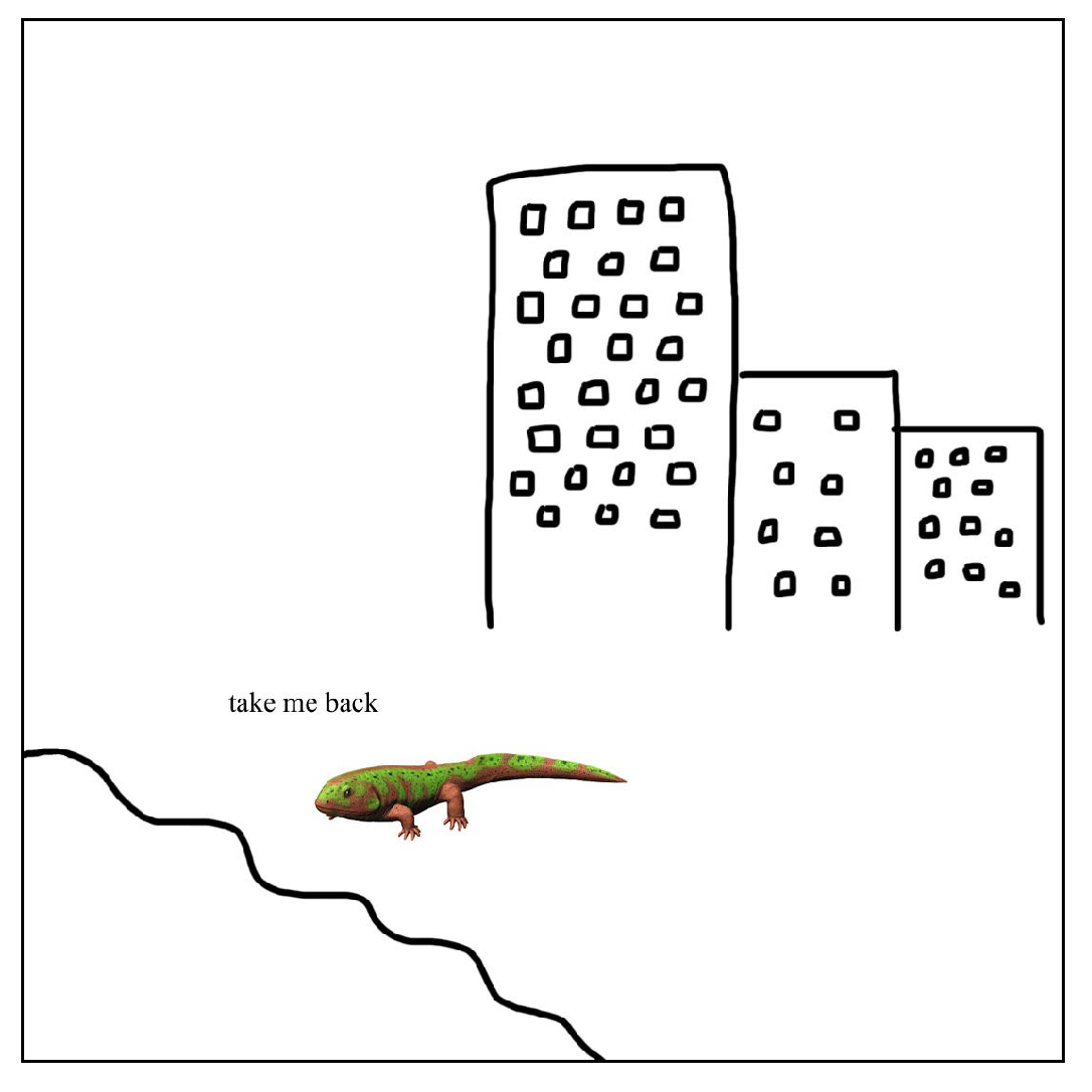 A illustration of a green and red lizard, walking towards a black wiggly digitally drawn line symbolising a river. In the background are drawn outlines of buildings in black digital ink. The words 'take me back' are above the lizard.