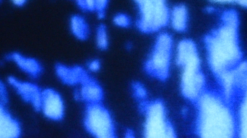 A black background with soft blue fragmented shapes scattered across. A frozen shard of a fluid reflection.