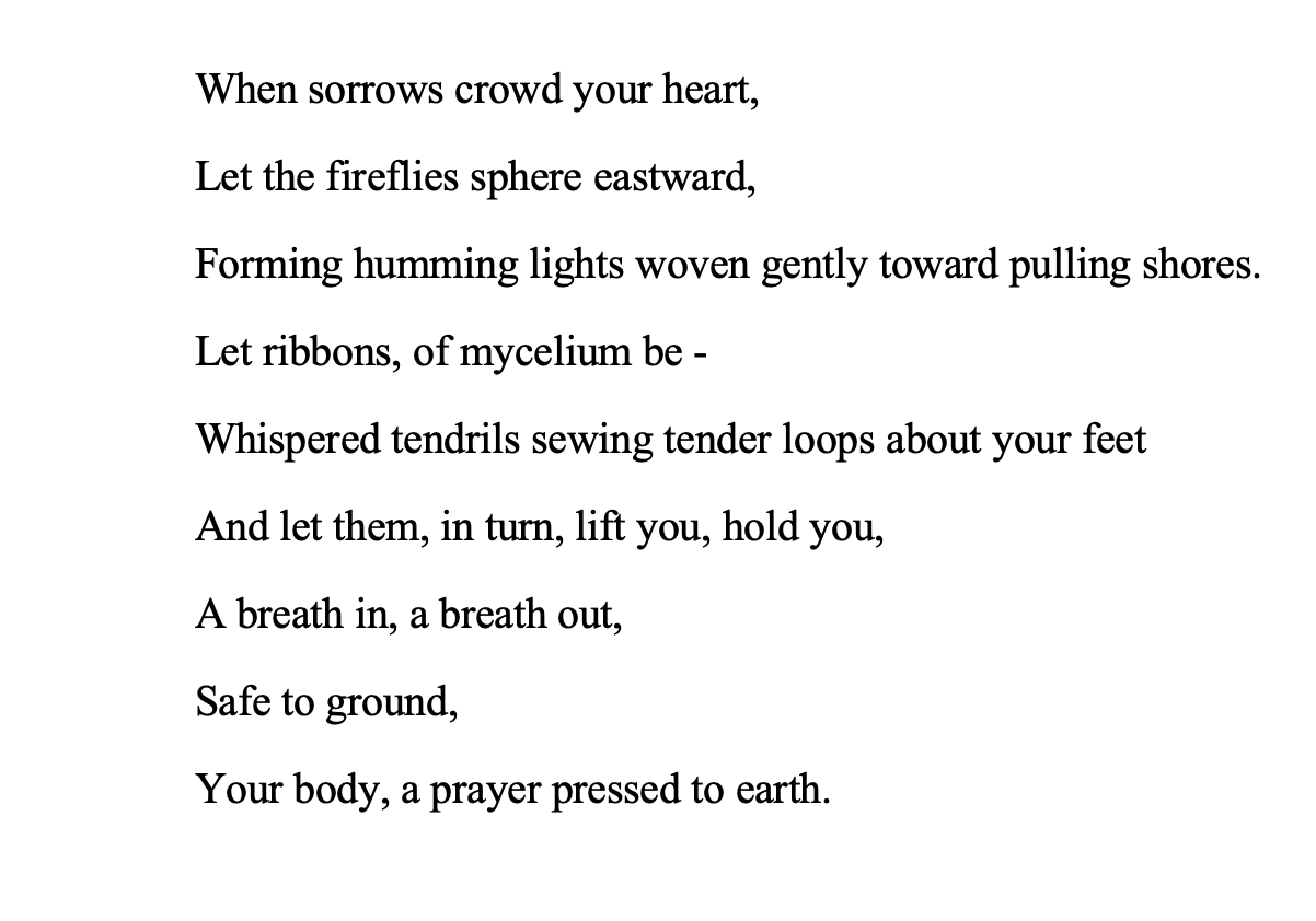 A poem written with the line - Let me Vanish.