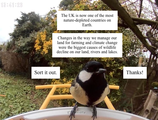 A great tit sitting on a bird feeder facing us head on, with trees and bushes in the background. Black and white text reads: the UK is now one of the most nature-depleted countries on Earth.  Changes in the way we manage our land for farming, and climate change were the biggest causes of wildlife decline on our land, rivers and lakes. Sort it out, thanks!