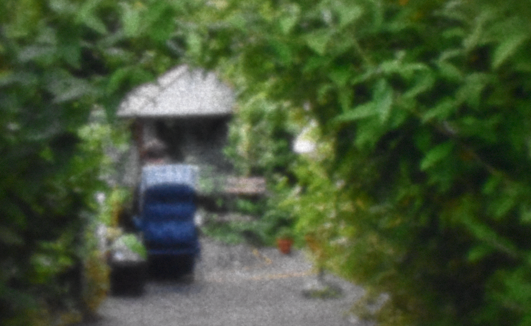 soft and fuzzyy image, looking through a tunnel of green buddleia, which fills most of the image, at the end we can see the back of a blue deckchair, where someone is resting.