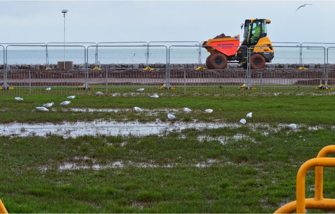 Water logged grass and seagulls in the foreground.  Behind this is a yellow dumper truck under a grey sky. In the very background is the sea.