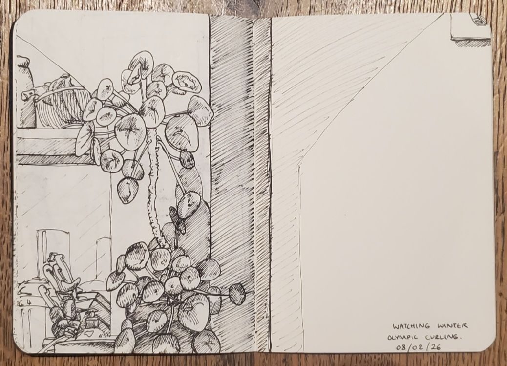 Pen fine liner sketch of Chinese money plant