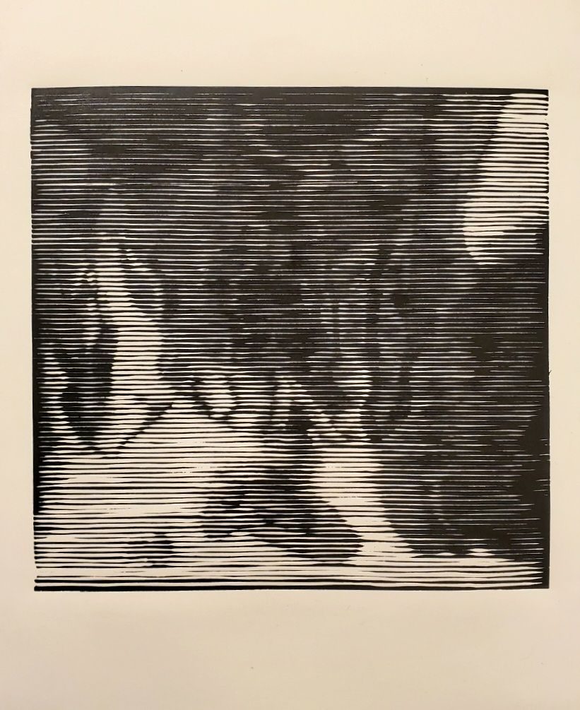 A black and white graphic print depicting a pelvis x-ray in an abstract style