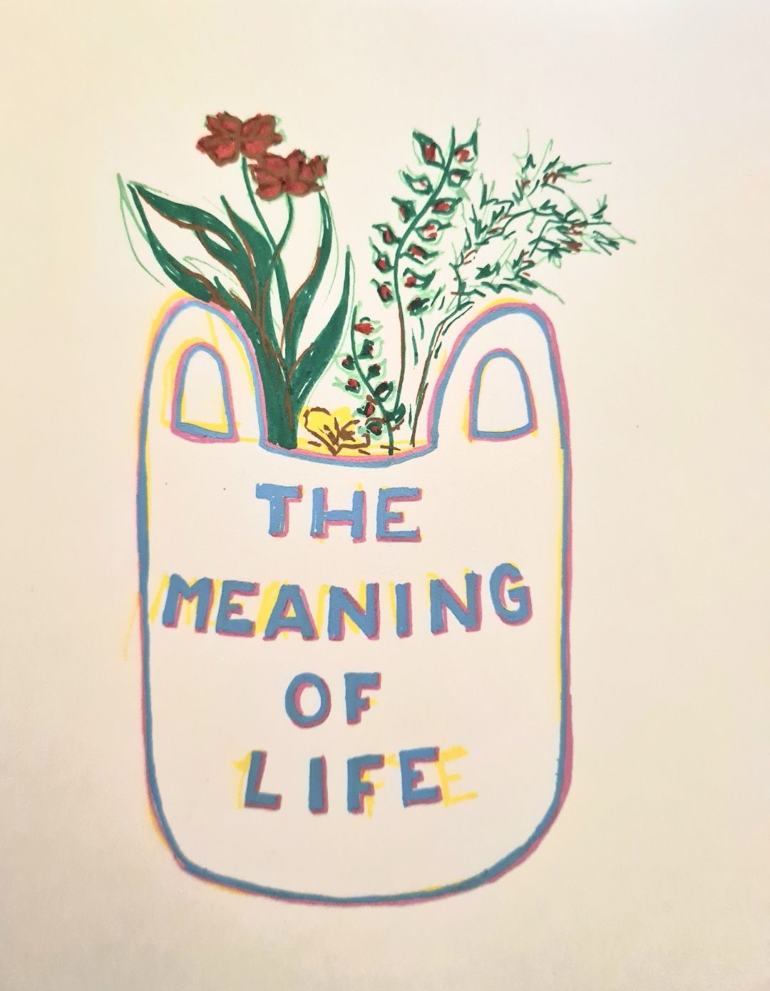 A drawing of a carrier bag labeled 'the meaning of life' holding a variety of plants
