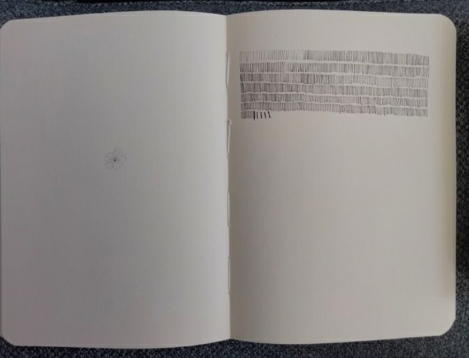 Drawing of forget me not and rows of lines