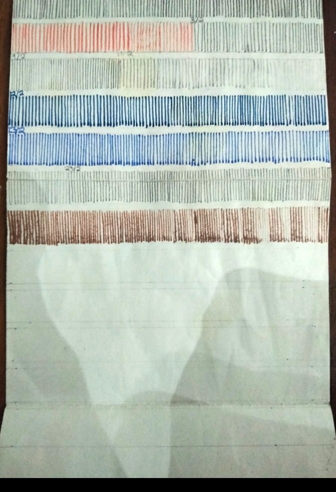 This is an ongoing piece of work, I keep a piece of paper in my phone cover and draw lines when I get the chance. I've 5 or so of these pieces of paper.