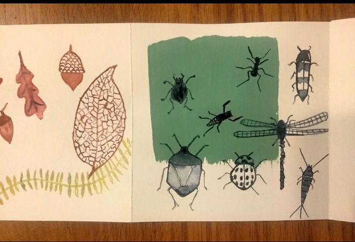 Experiments related to nature for workshop, in handmade book