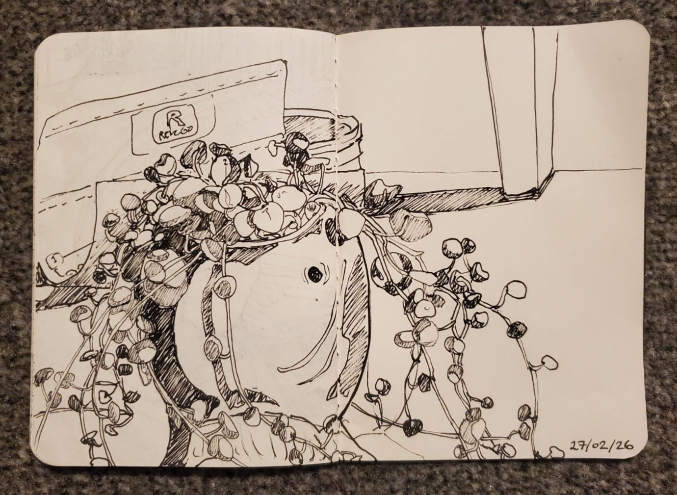 Pen fine liner sketch of a wale shaped plant pot with a plant with many small round leaves cascading down and around the pot