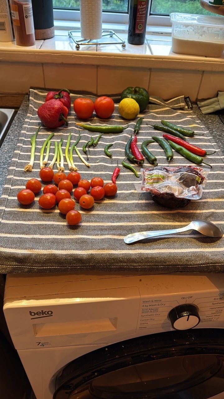 The image depicts freshly washed vegetables kept on a towel to dry.