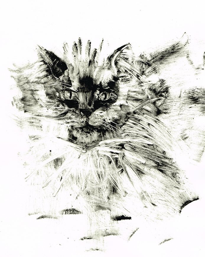 Ink Monotype of my brothers cat hand printed on Hahnemuhle paper