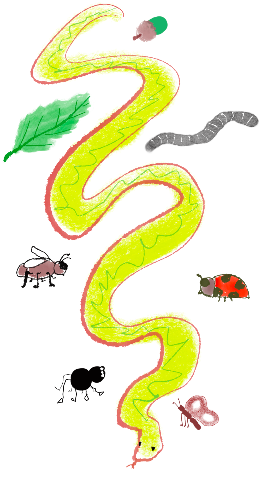 Comic drawing of snake surrounded by leaves and insects