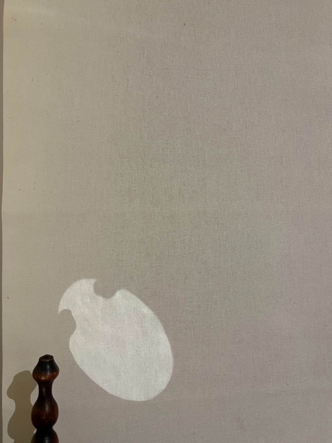 reflections real and unreal