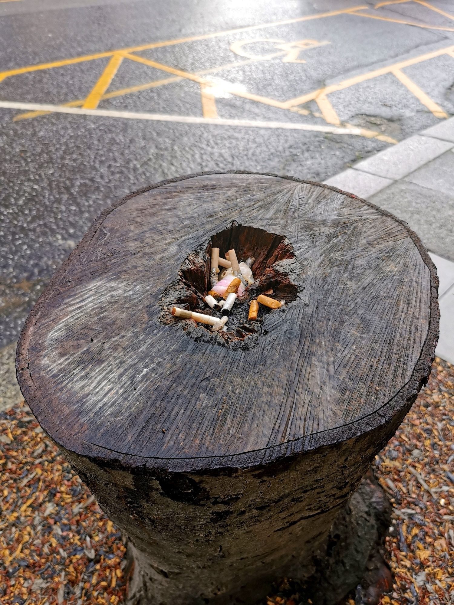 Tree stump in pavement with a hole in the top where people have placed cigarette butts. A road with a disabled parking bay beyond.