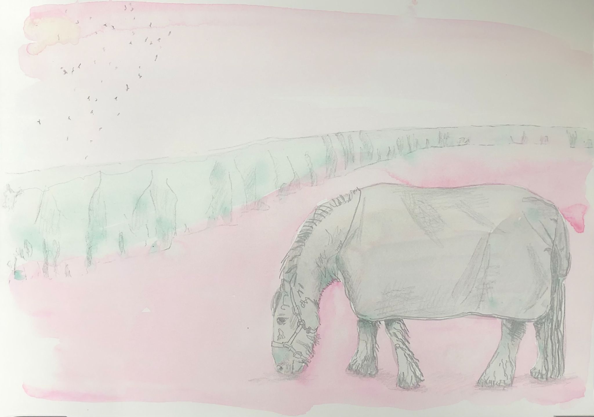 A graphite and watercolour drawing of the land surrounding my home with a feeding horse.