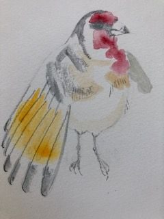 Graphite and watercolour on paper. A Goldfinch in contrapposto position.