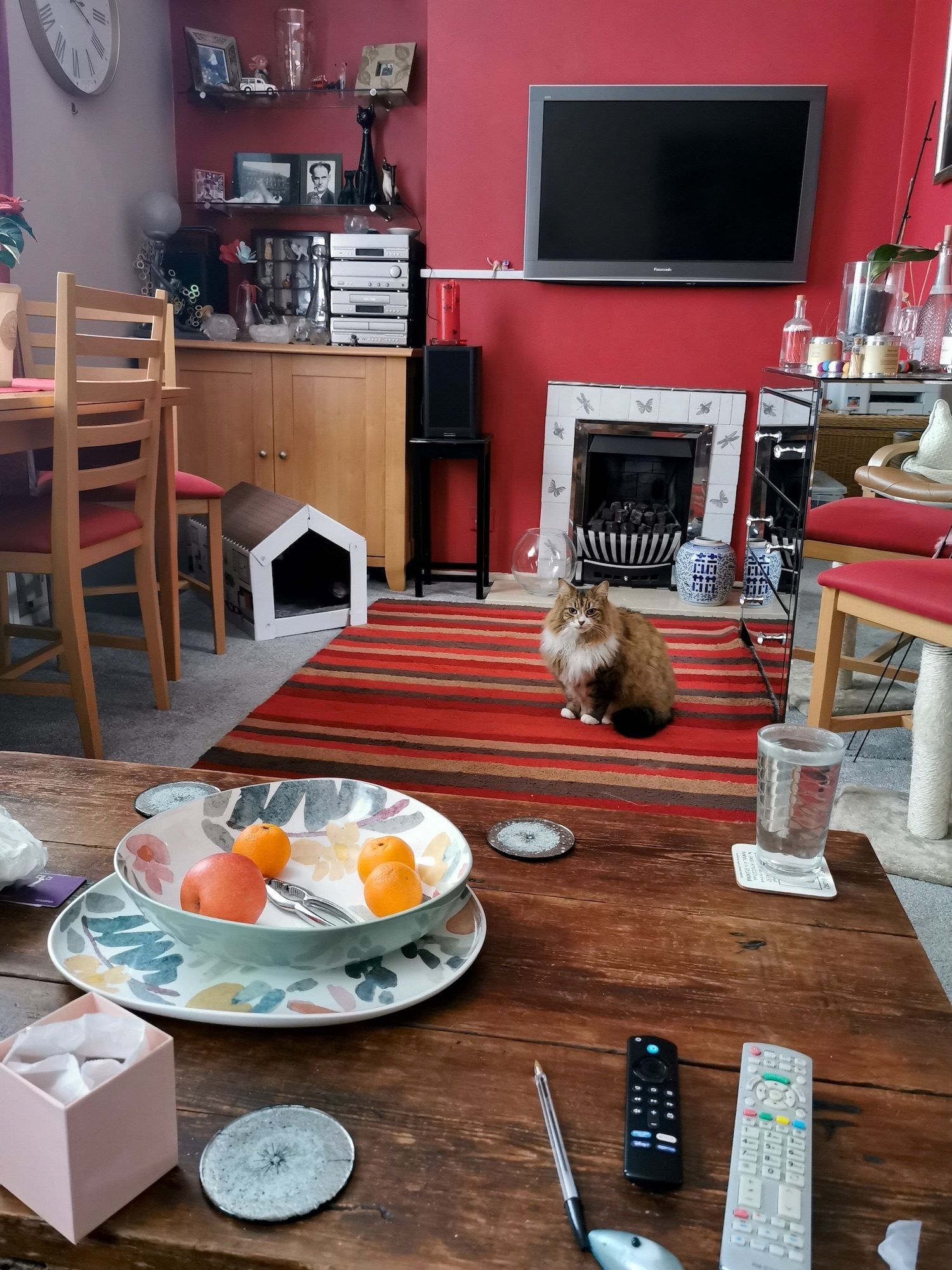 A room with red and pale pink walls with life's bits and pieces all around and a cat sitting in the middle of the scene on a stripey red rug.