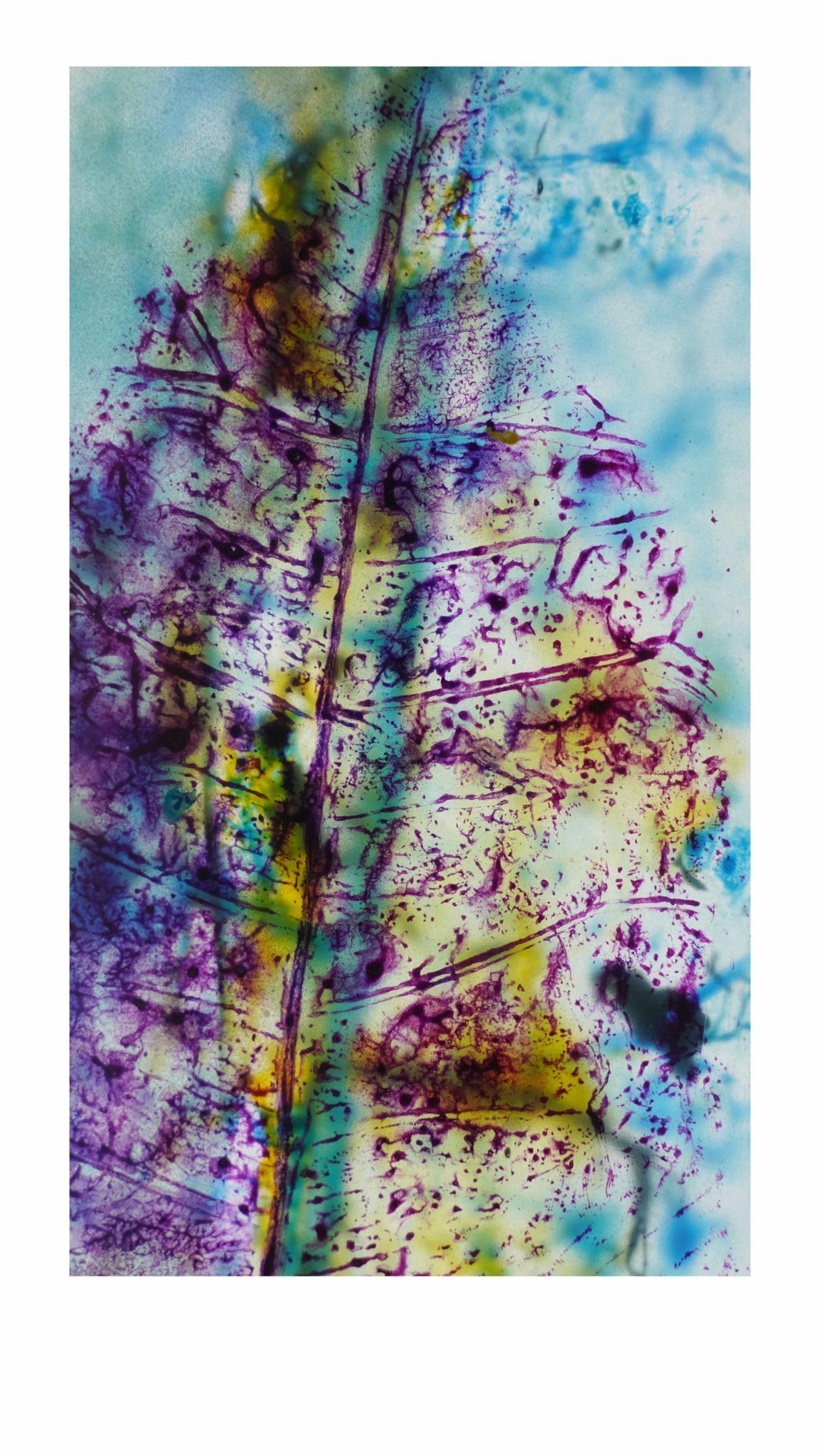 stamped leaf, on multiple layers on translucent paper, close up photography