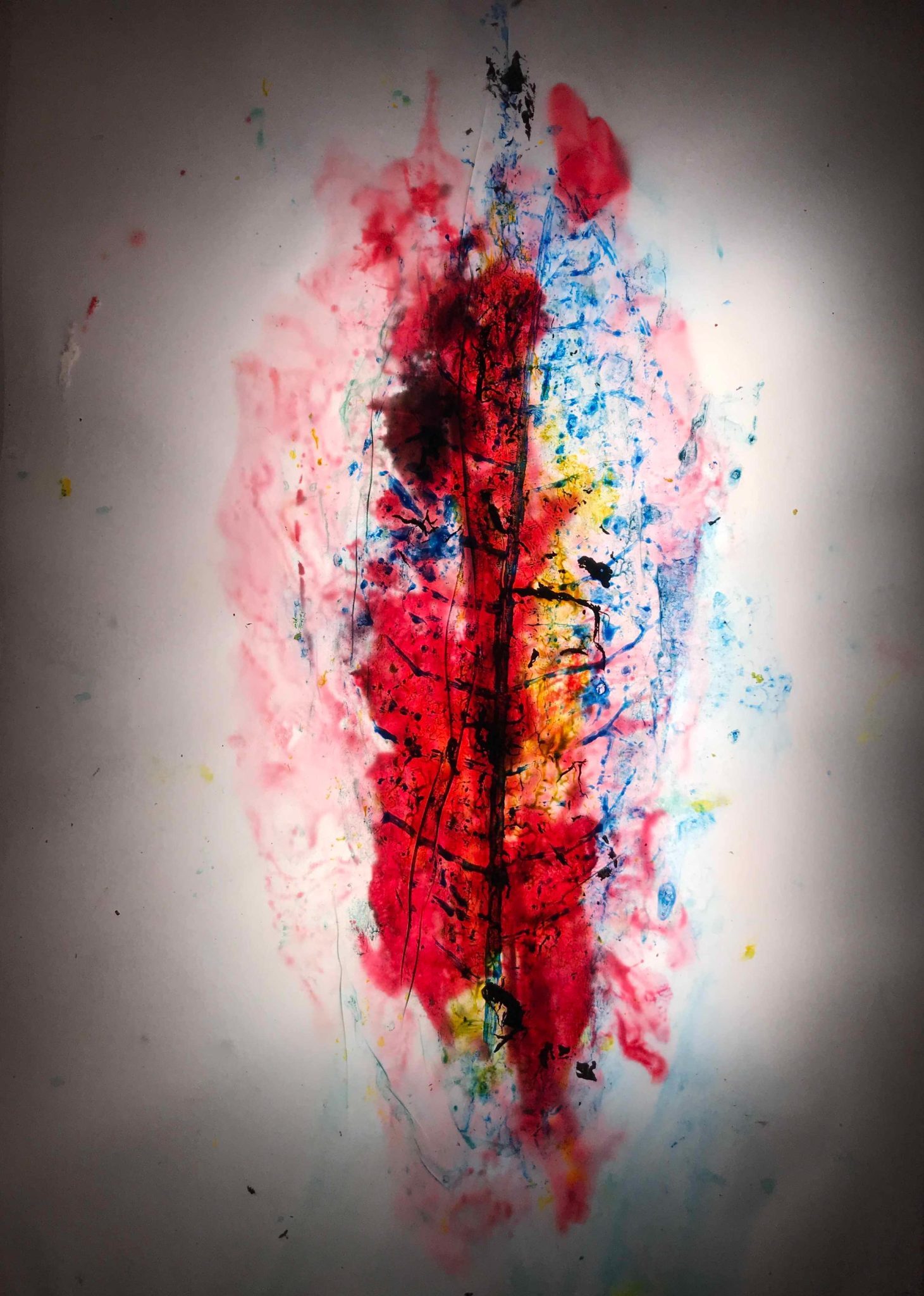 Stamped acrylic painted leaf on translucent paper, photographed with backlight