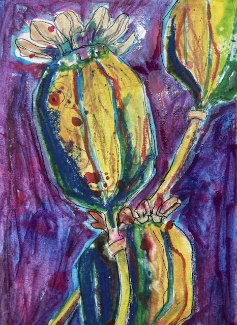 Three poppyseed pods in watercolour and inktense