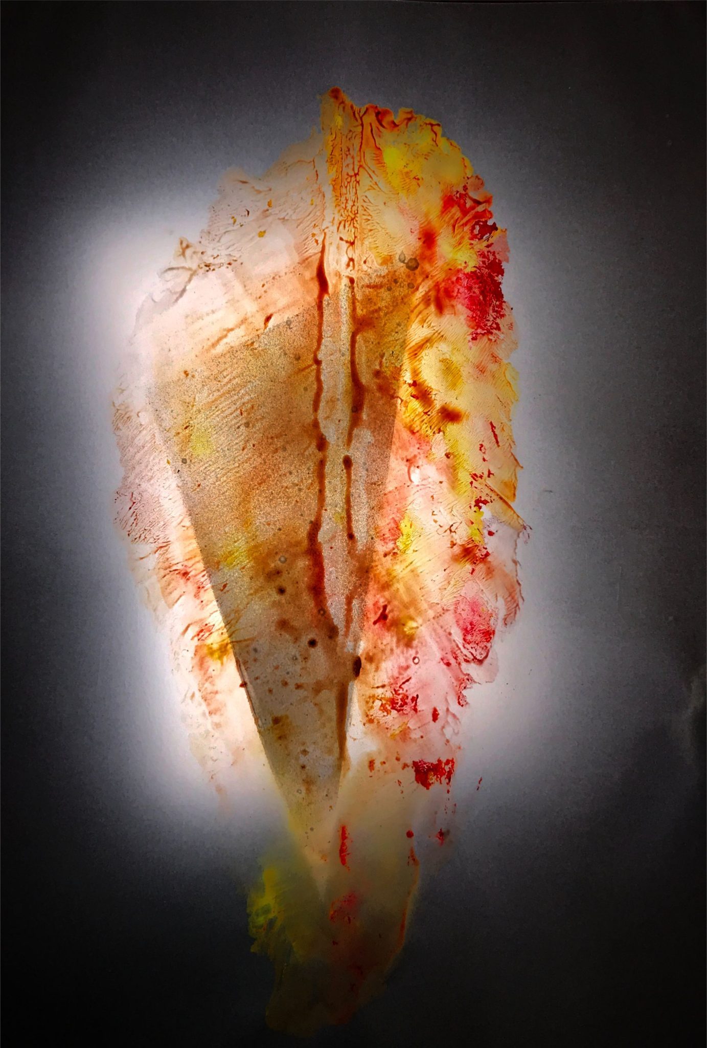 Leaf shape stamped on carson paper, photographed with backlight