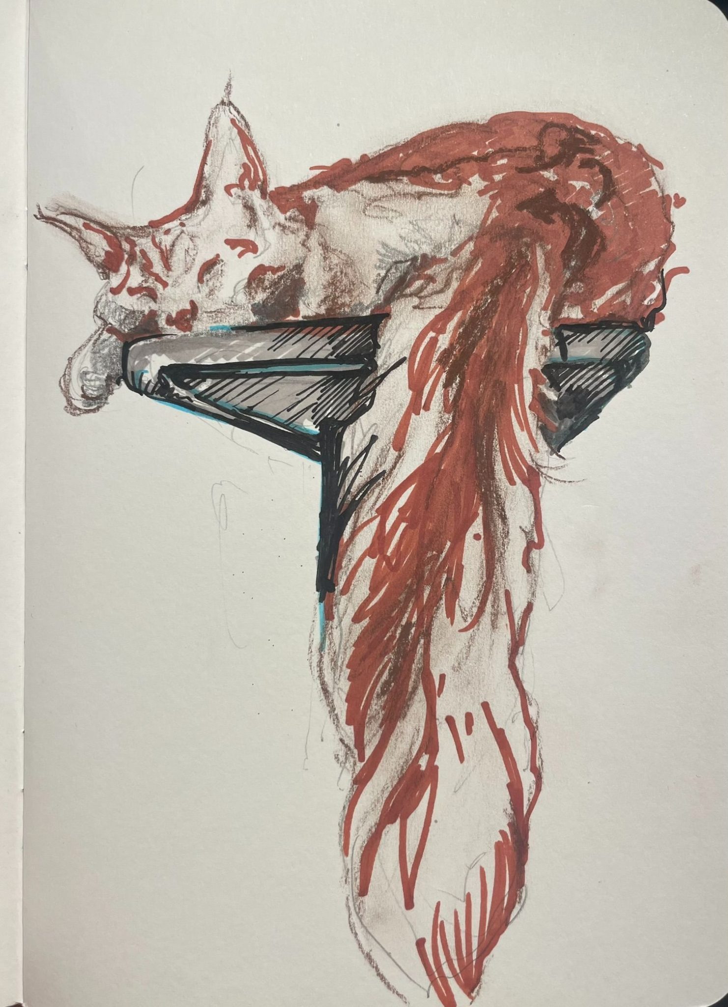 sketch of a cat using only the tools in my pencil case!