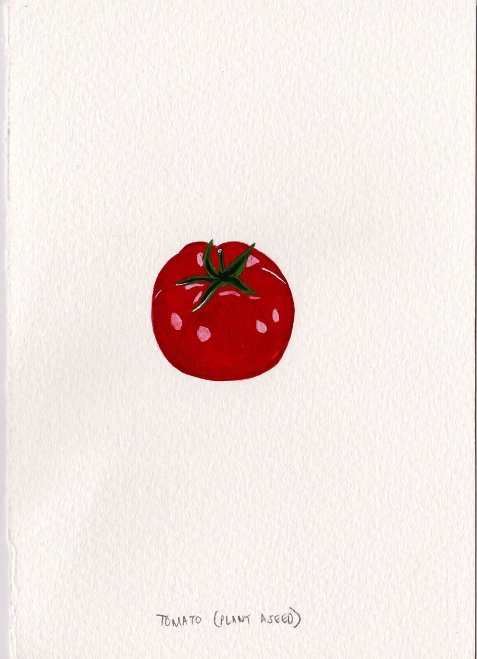 A painting of a tomato