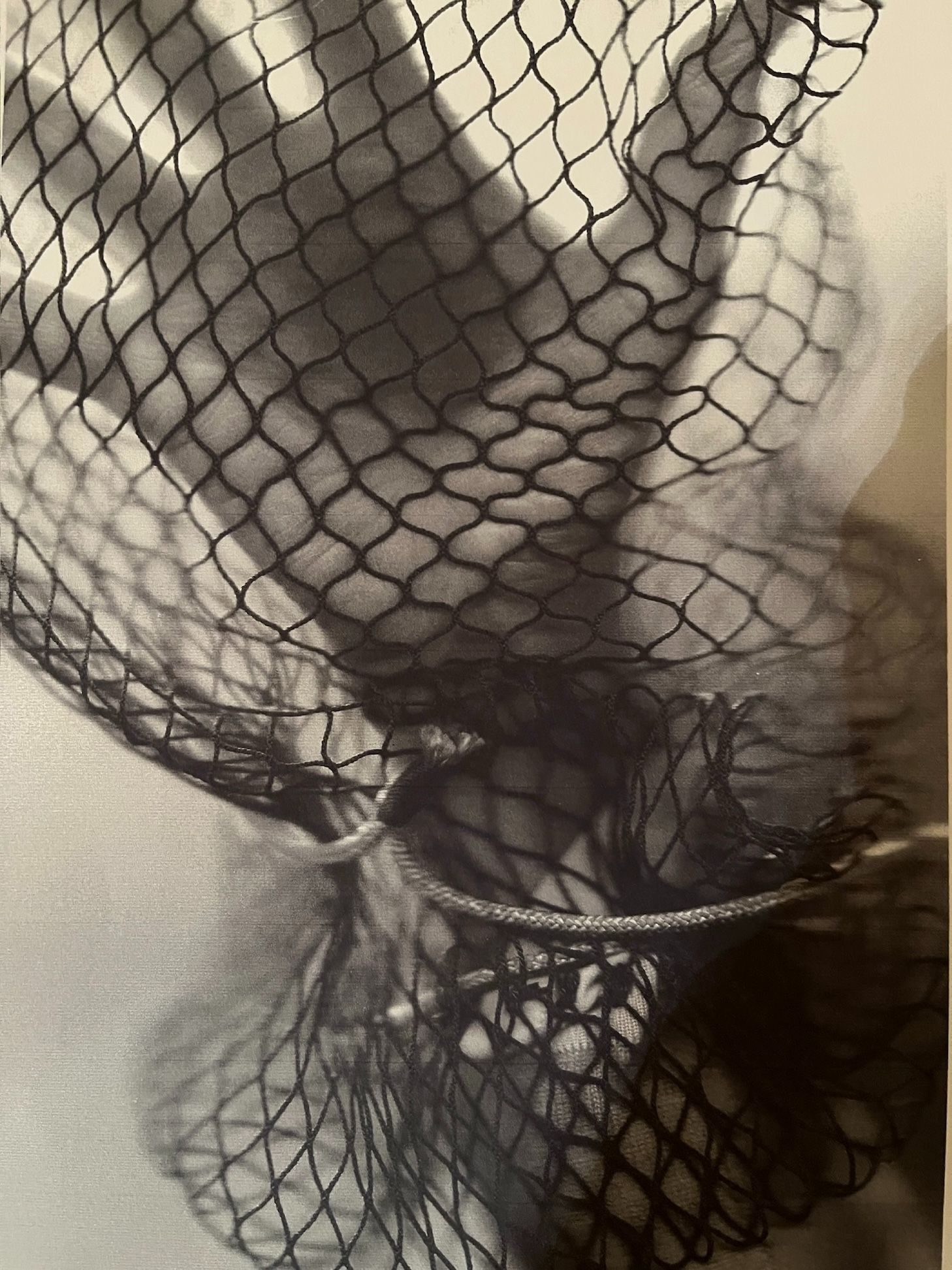 a hand in the net trapped like an indelible image in the scanner