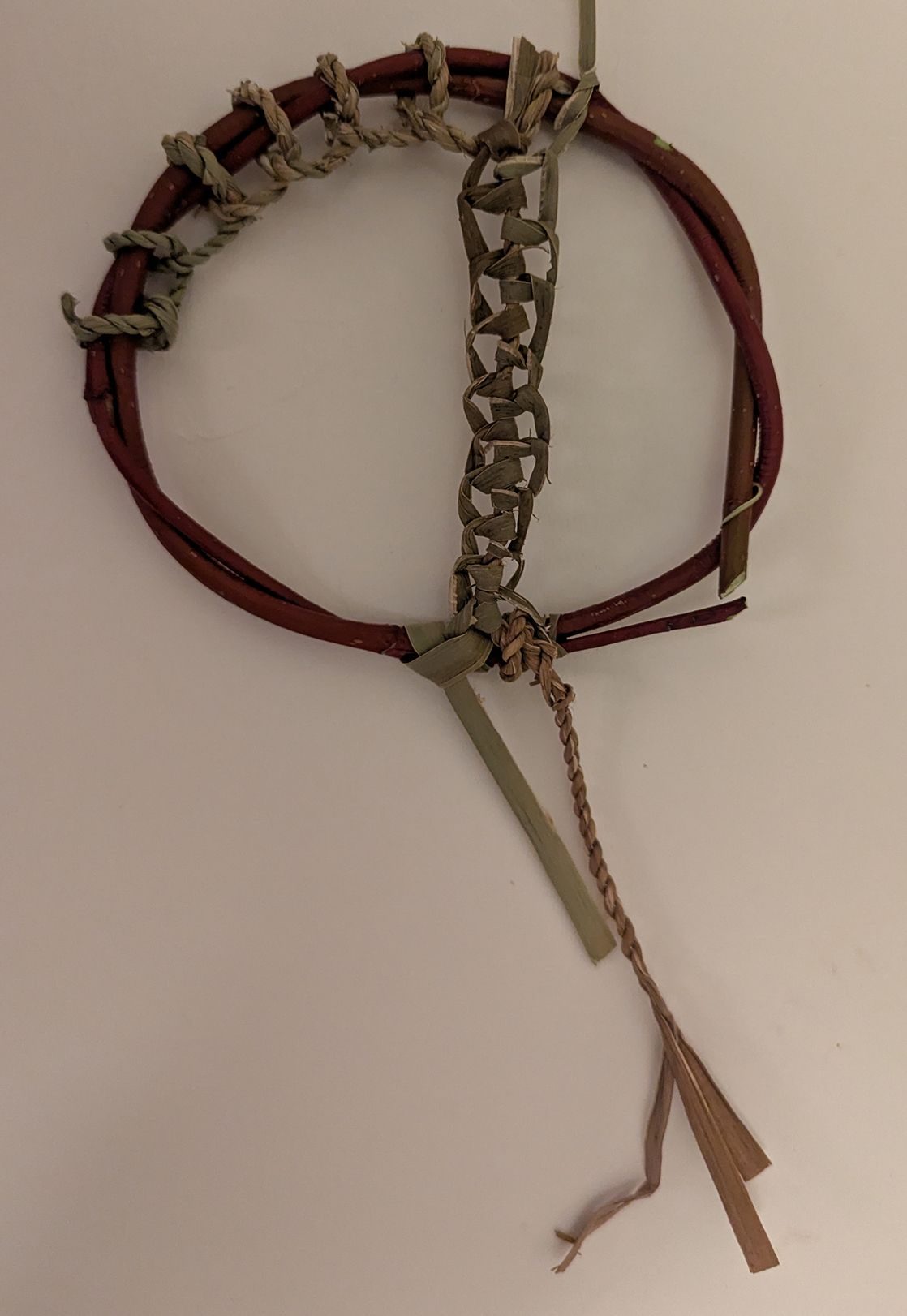 dogwood/grass and reed mace