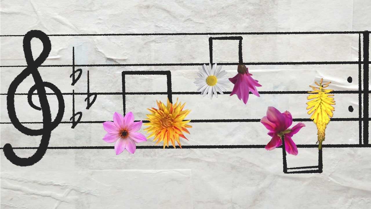 Musical notes and flowers on a sheet