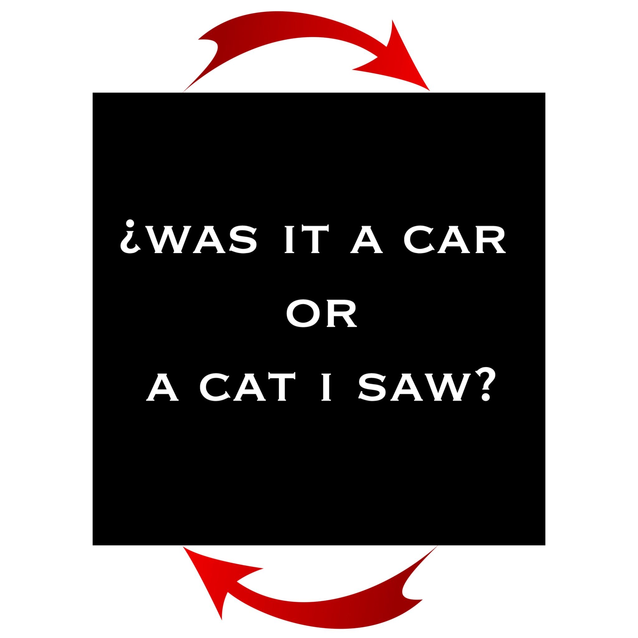 A palindromic sentence on a black background which reads 