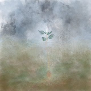 watercoourish digital sketch of a misty, cloudy, landscape where it is raining, in the centre of the image is rather frail seedling, rather etiolated, with two cotyledon and the first slightly hesitant shoot of the first true leaf, the seed has rooted below ground we presume, so we know it is fertile and living. the palette is muted earth colours