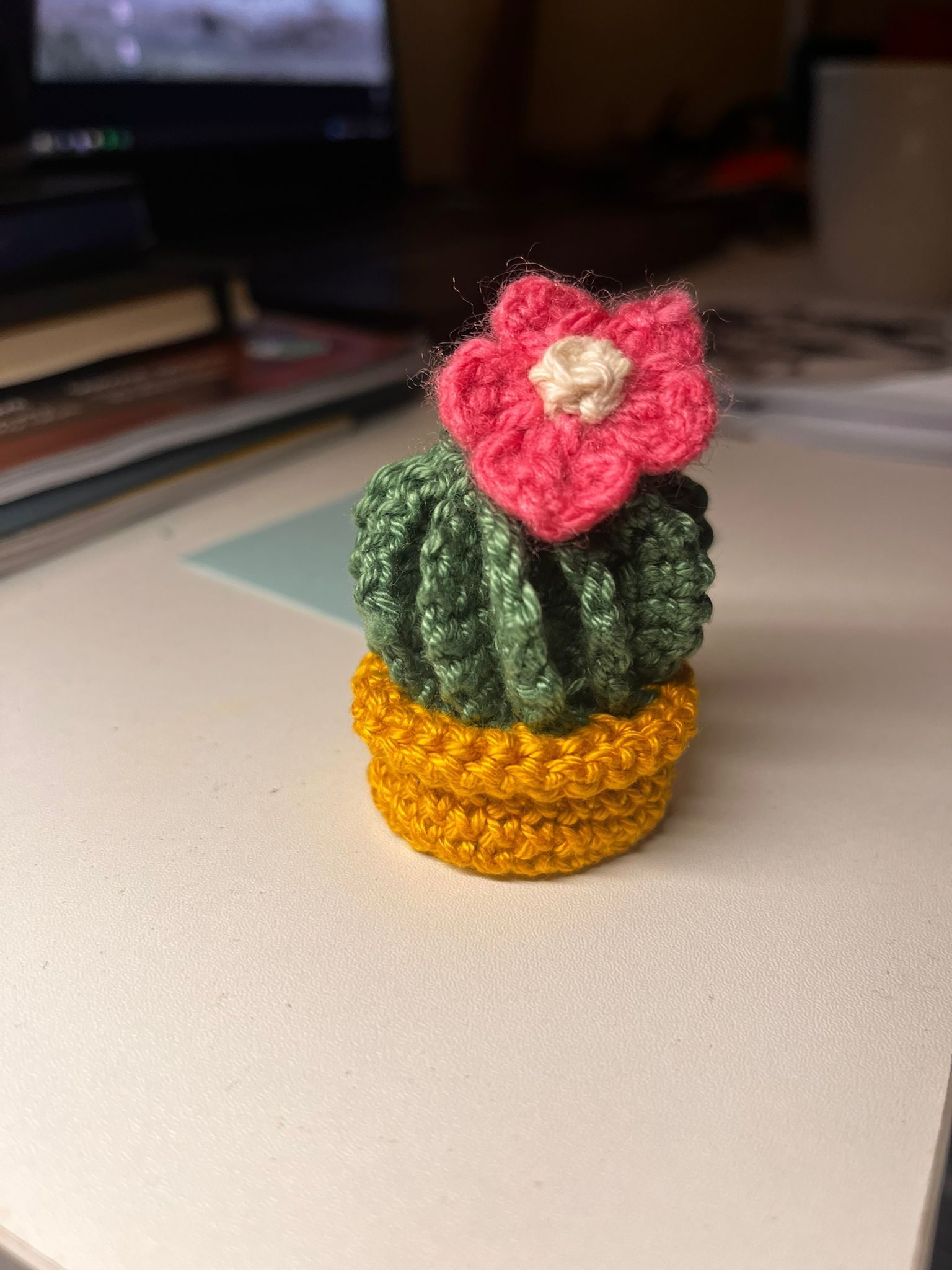 A crochet cactus in a pot with a pink flower at the top