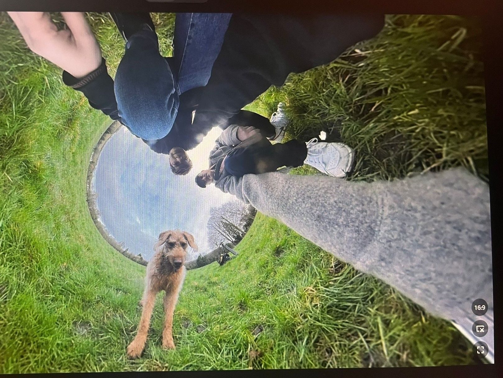 a 360 - fish eye picture of two guys and a dog on a filed with some trees behind. Nice sunny day with blue skyes