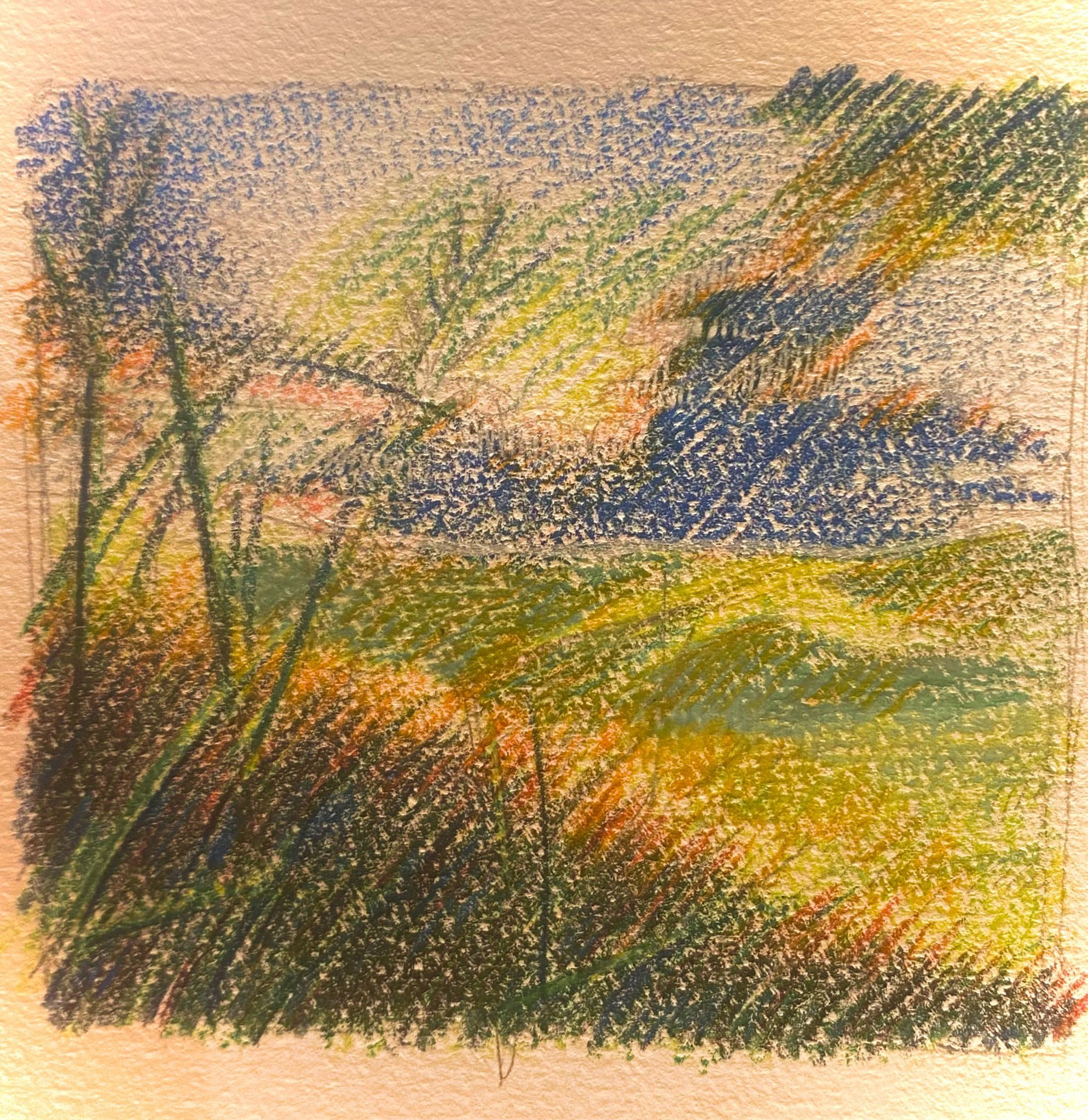 color pencil