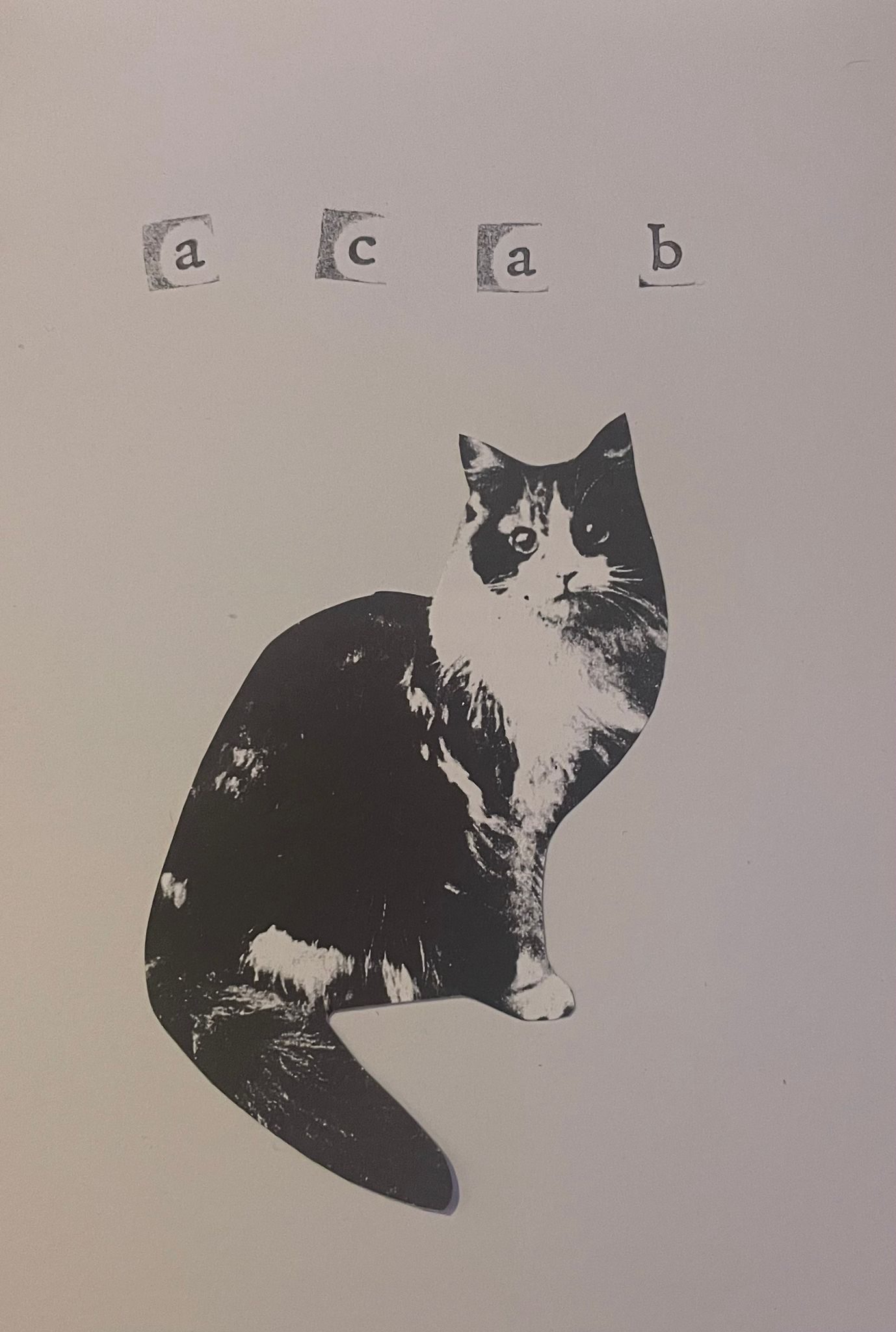 Portrait black and white image. Stamped at the top are individual letters ‘acab’. Underneath is a grainy black and white photo of a fluffy cat, facing towards us.