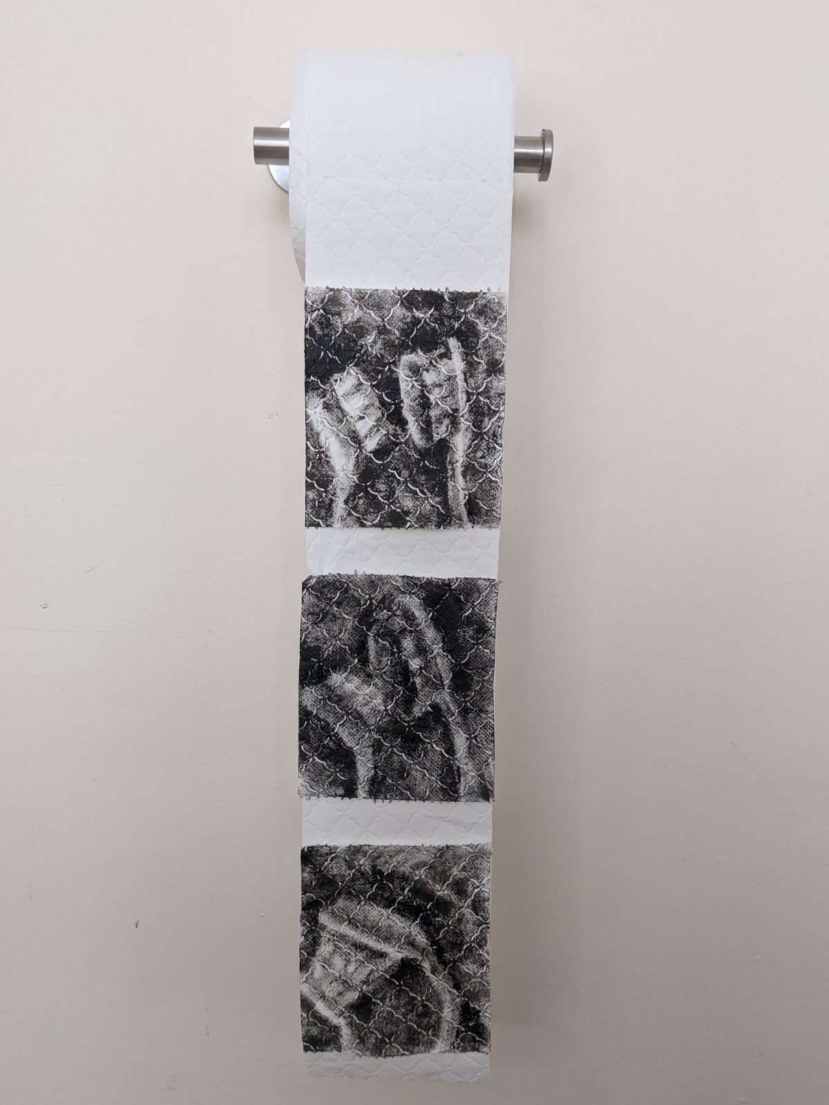 Pictures painted onto toilet roll
