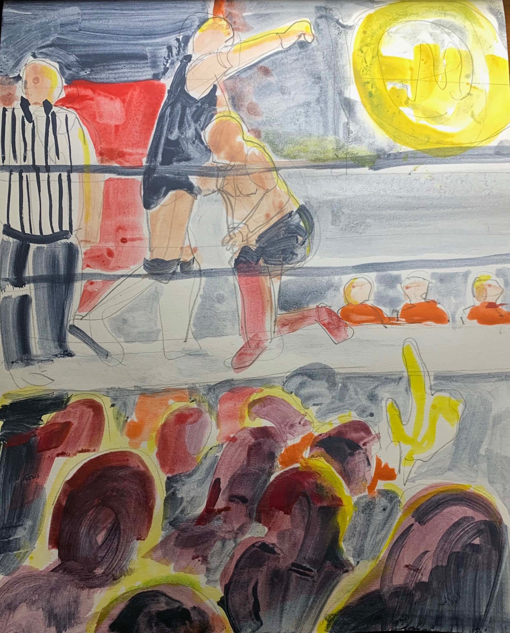 wwe wrestlers - loving the audience lots to explore