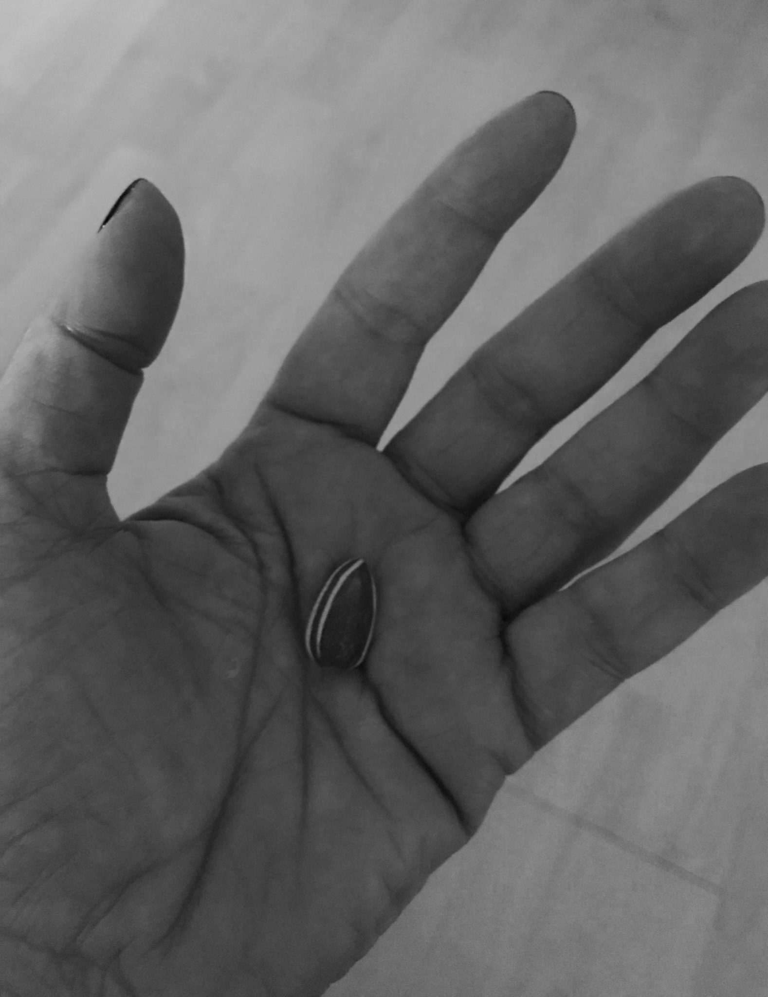 A photo of my palm with a porcelain seed, from Ai Wei Wei's installation 'Kui Hua Zi' (Sunflower Seeds). I found it in a crack (a year later) in the TATE Modern Turbine Hall during a break rehearsing for Tino Sehgal's work 'These Associations' in 2012. I treasure it. The sunflower seed representing growth and resilience, seeding the lines of my palm.